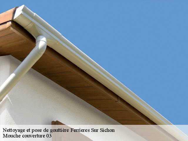 Nettoyage et pose de gouttière  ferrieres-sur-sichon-03250 Mouche couverture 03